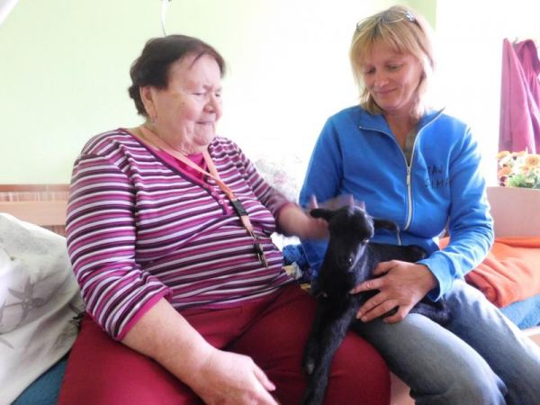 1505816257 dscn6364 1505816257 dscn6364