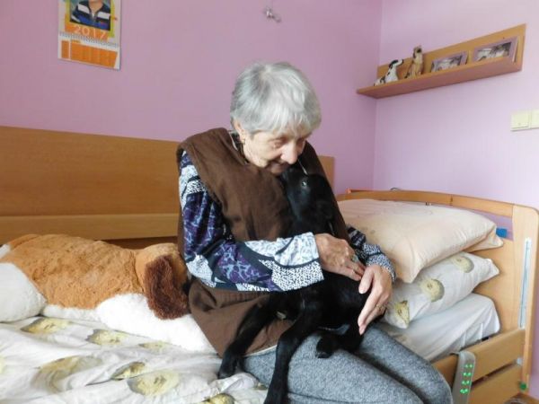 1505816269 dscn6366 1505816269 dscn6366